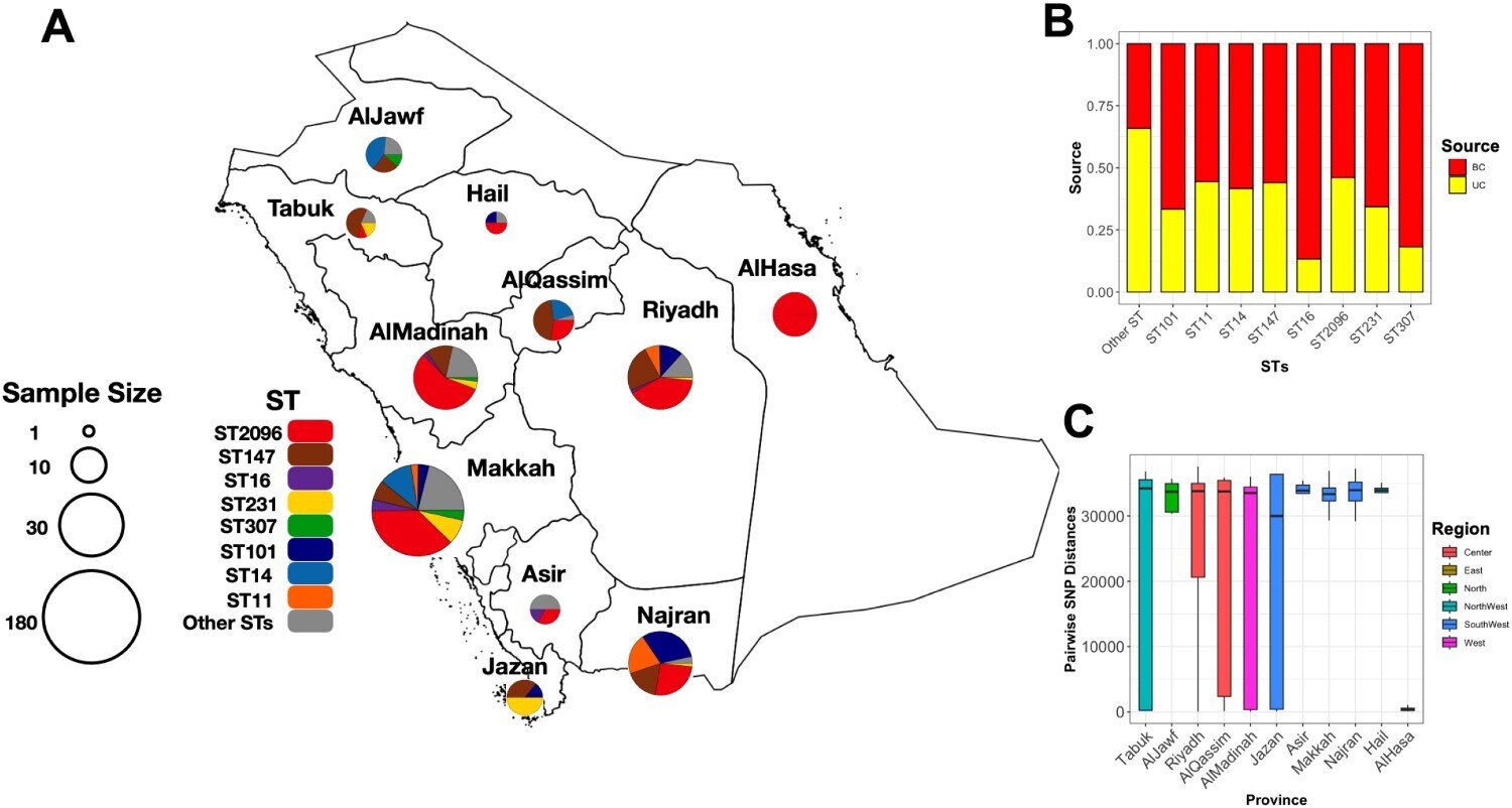 Mirtinos bakterijos Saudo Arabijoje elgiasi kitaip nei likusioje pasaulio dalyje, rodo epidemiologinis tyrimas