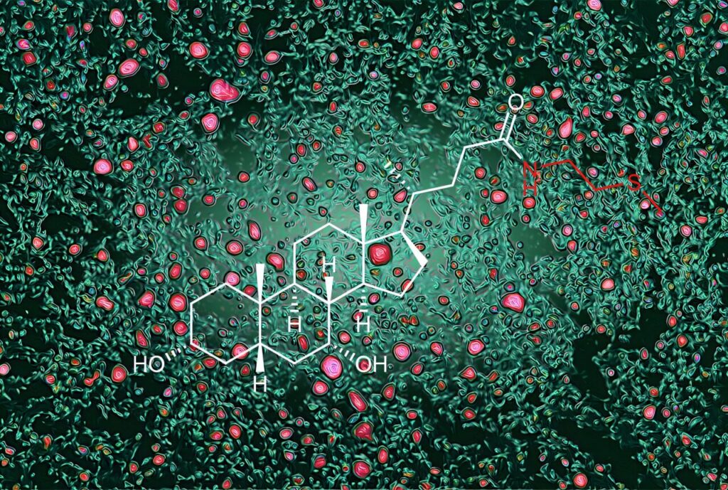 Naujas būdas kontroliuoti kūno riebalų ir cholesterolio kiekį