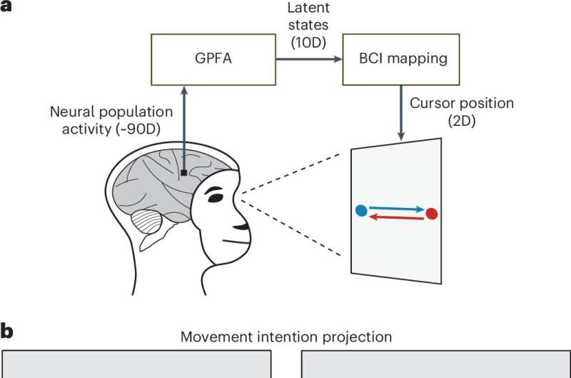 Beždžionės gali perkelti BCI žymeklį bet kuria kryptimi MoveInt projekcijoje. Autoriai: Nature Neuroscience (2025). DOI: 10.1038/s41593-024-01845-7 Vienpusiai neuronų populiacijos veiklos keliai