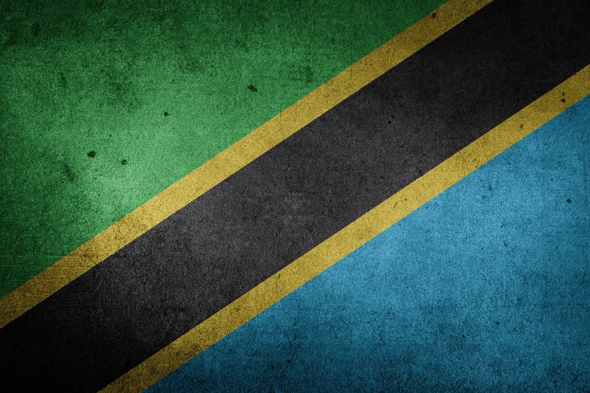 Tanzanija patvirtino naują Marburgo viruso protrūkį