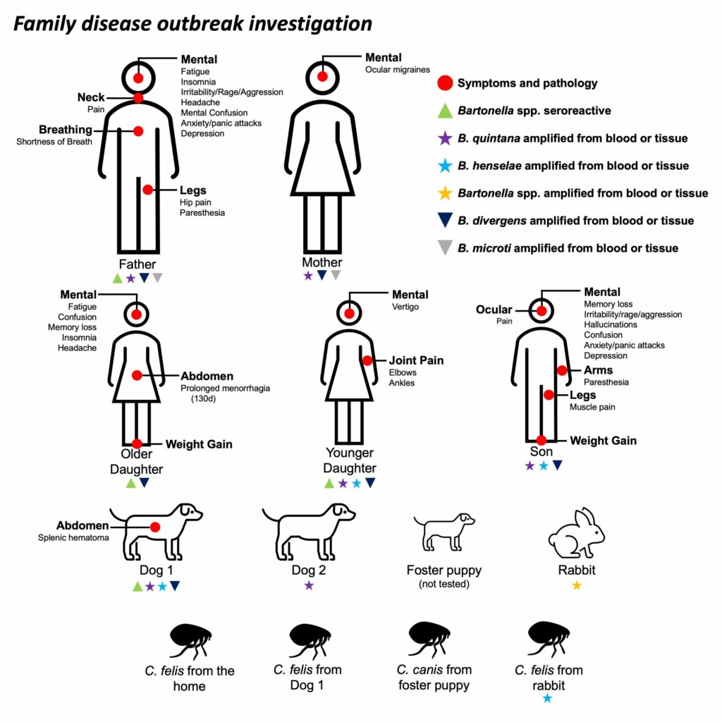 Bartonella ir Babesia bendra infekcija šeimoje, susijusi su neurologinėmis ligomis