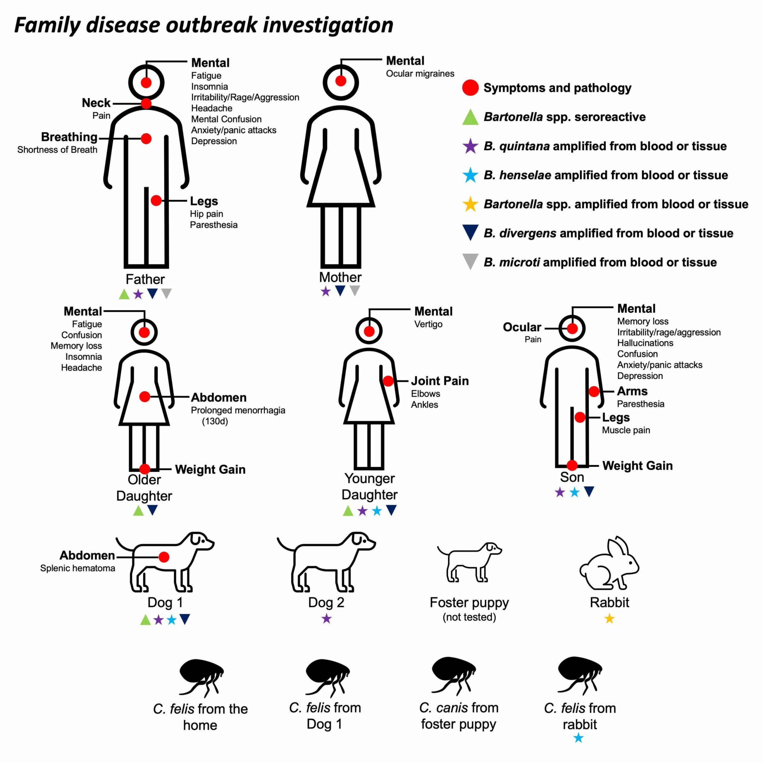 Bartonella ir Babesia bendra infekcija šeimoje, susijusi su neurologinėmis ligomis