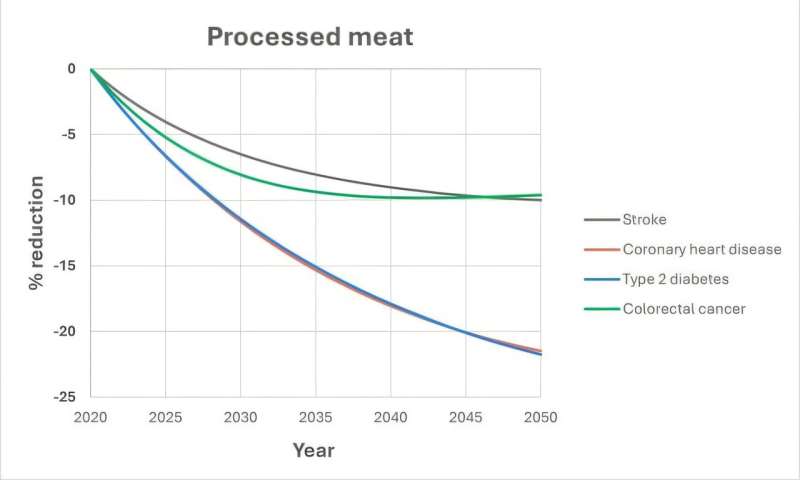 Kreditas: Wageningeno universitetas Daugiau vaisių ir mažiau perdirbtos mėsos iki 2050 m. Išvengti tūkstančių ligų atvejų