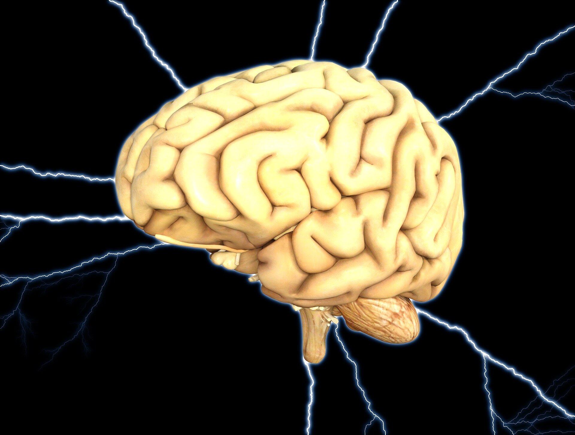 Nepriklausomi vertinimai paneigia teiginius apie naujų neurologinių ligų Naujajame Brunsvike