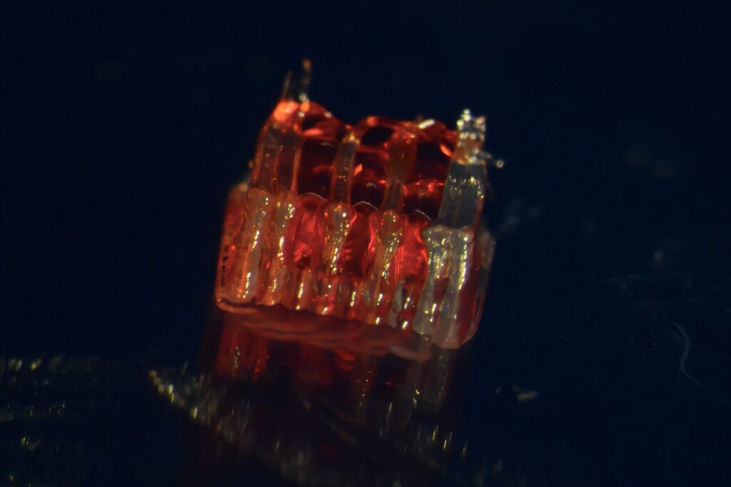 3D atspausdintas pastolių procesas suteikia vilties atgauti stuburo smegenų traumą