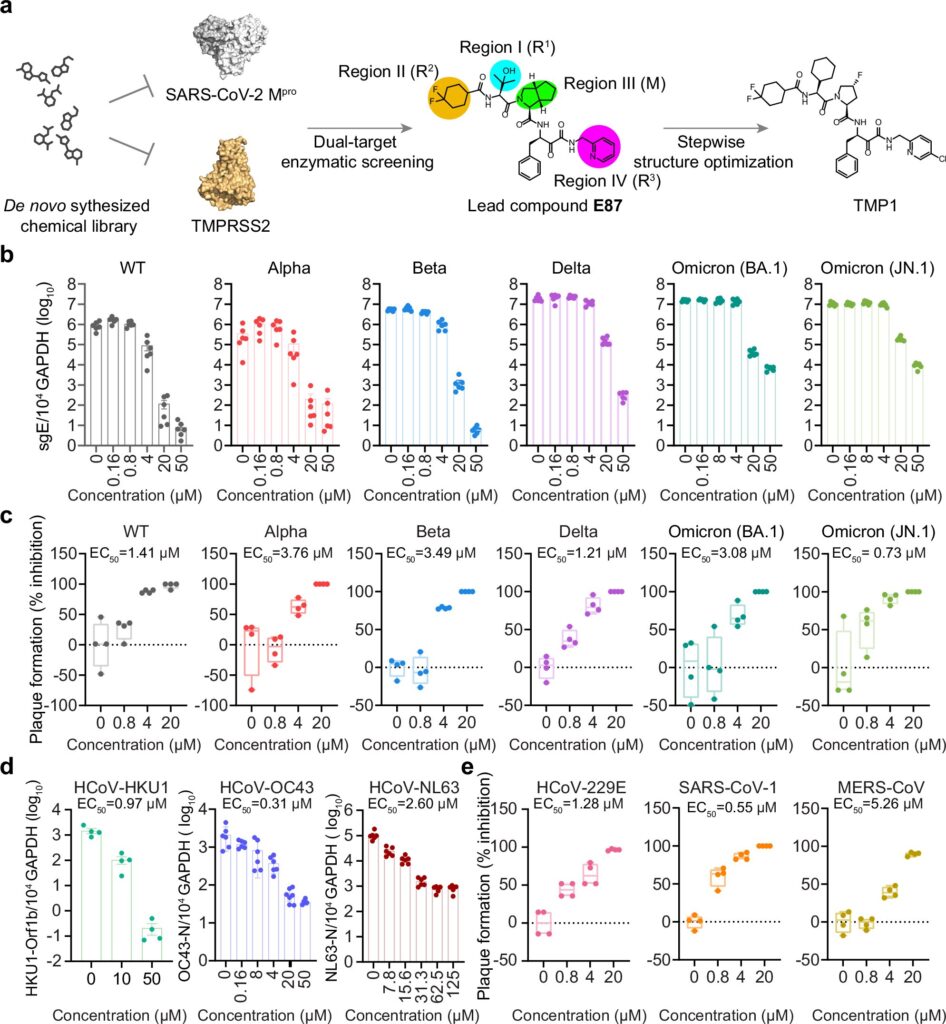 Bispecifinis inhibitorius gali kovoti