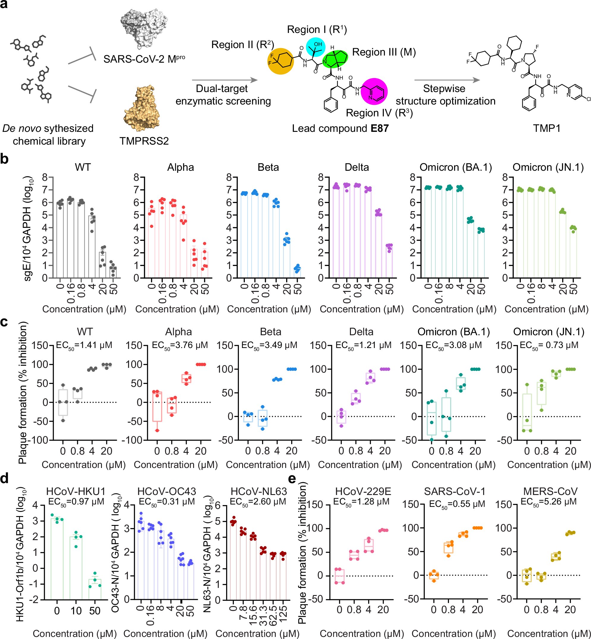 Bispecifinis inhibitorius gali kovoti