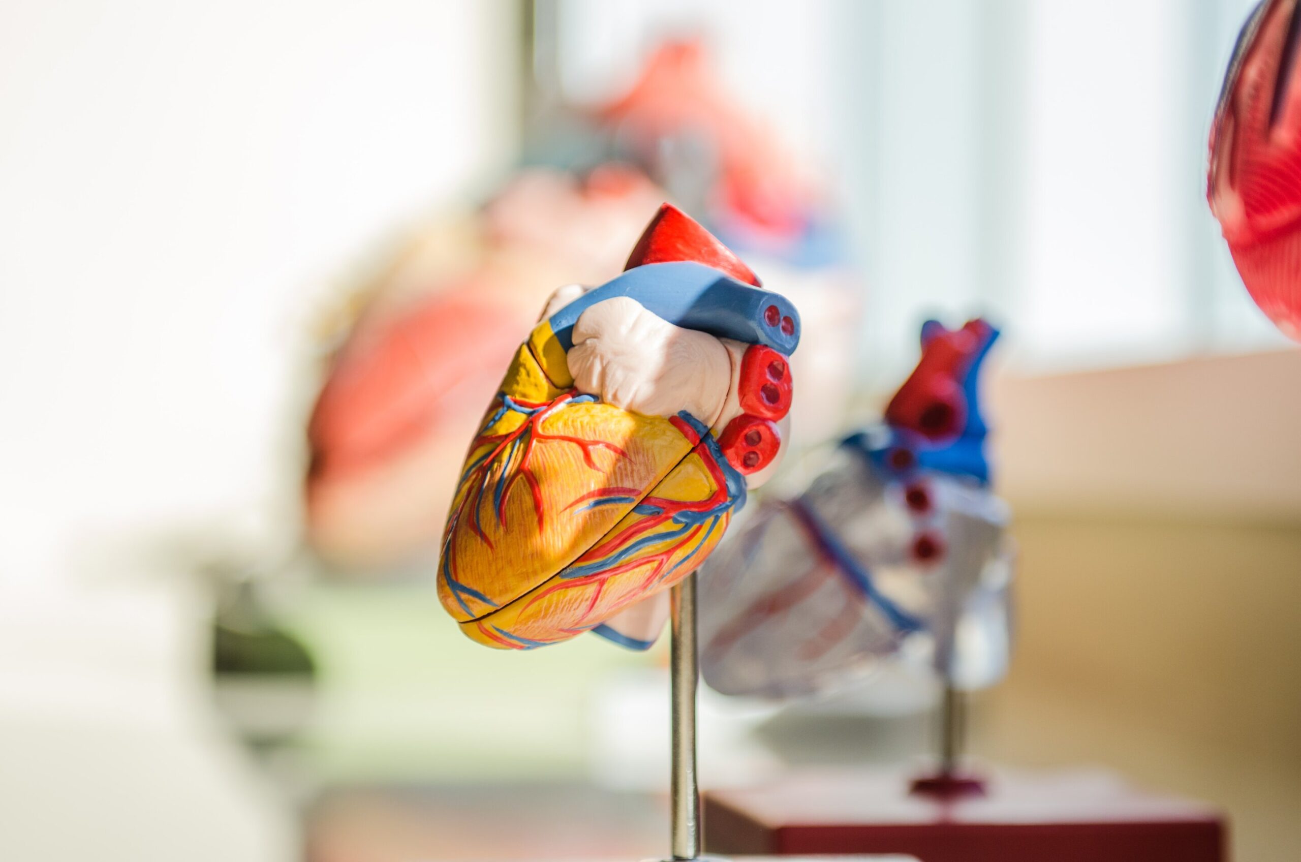 PCSK9, statinų derinys gali sumažinti cholesterolio kiekį po transplantacijos