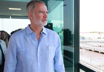 Keturi karaliaus gvajaberos ekspertai: „Įdomiausias dalykas yra žinutė, kurią ji perduoda“
