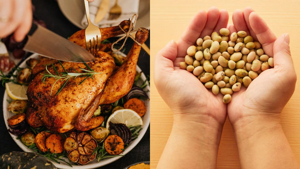 2026 m. Pasaulinė baltymų diena: 2 vegetariški maisto produktai, kuriuose baltymų stebėtinai daugiau nei vištienoje
