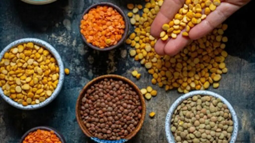 Uradas, Masooras, Moongas, Chana: kuris dal turi daugiausiai baltymų?